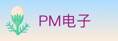 PM电子 logo